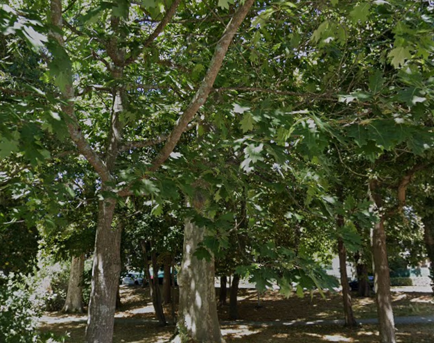 Espaces verts ombragés du Parc Alalouf à Toulouse